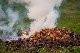 Día mundial del medio ambiente: uno de cada cuatro hogares aún elimina su basura mediante la quema