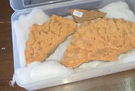 Concepción: hallan piezas cerámicas de más de 800 años de antigüedad
