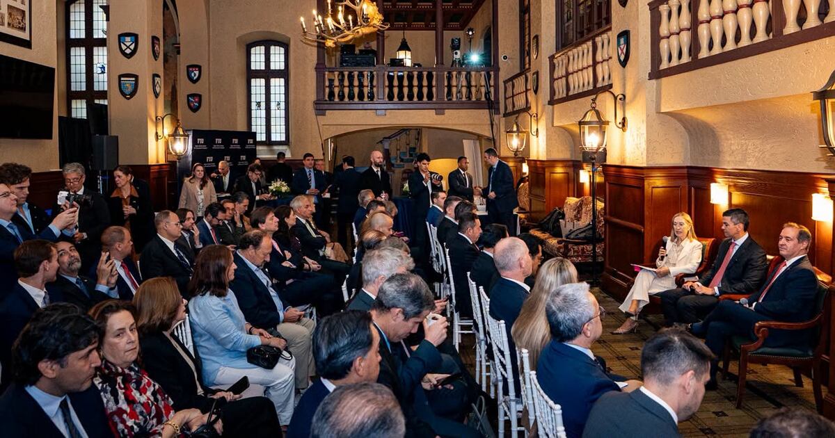Peña expone ventajas de Paraguay ante el CEAPI