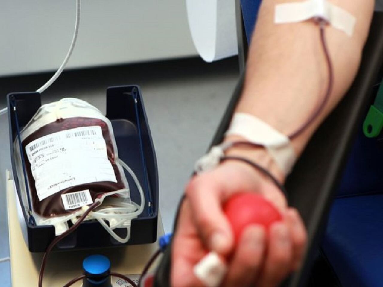 El proceso de donación dura unos 30 minutos y requiere cumplir condiciones básicas de salud, alimentación y descanso.
