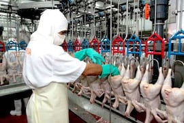 Destacan el potencial de comercialización internacional sin límites de cupos con Taiwán