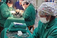 “Dios me regaló un nuevo riñón”: Agricultor de 59 años recibe trasplante en el Hospital de Clínicas