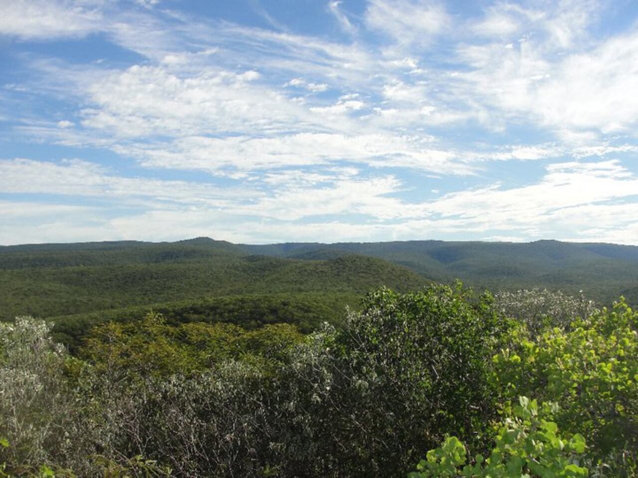 El Cerro León es una formación natural que se encuentra dentro delParque Nacional Defensores del Chaco.Es una serranía de más de 120 cerros, destacando dos que superan los 600 metros de altura