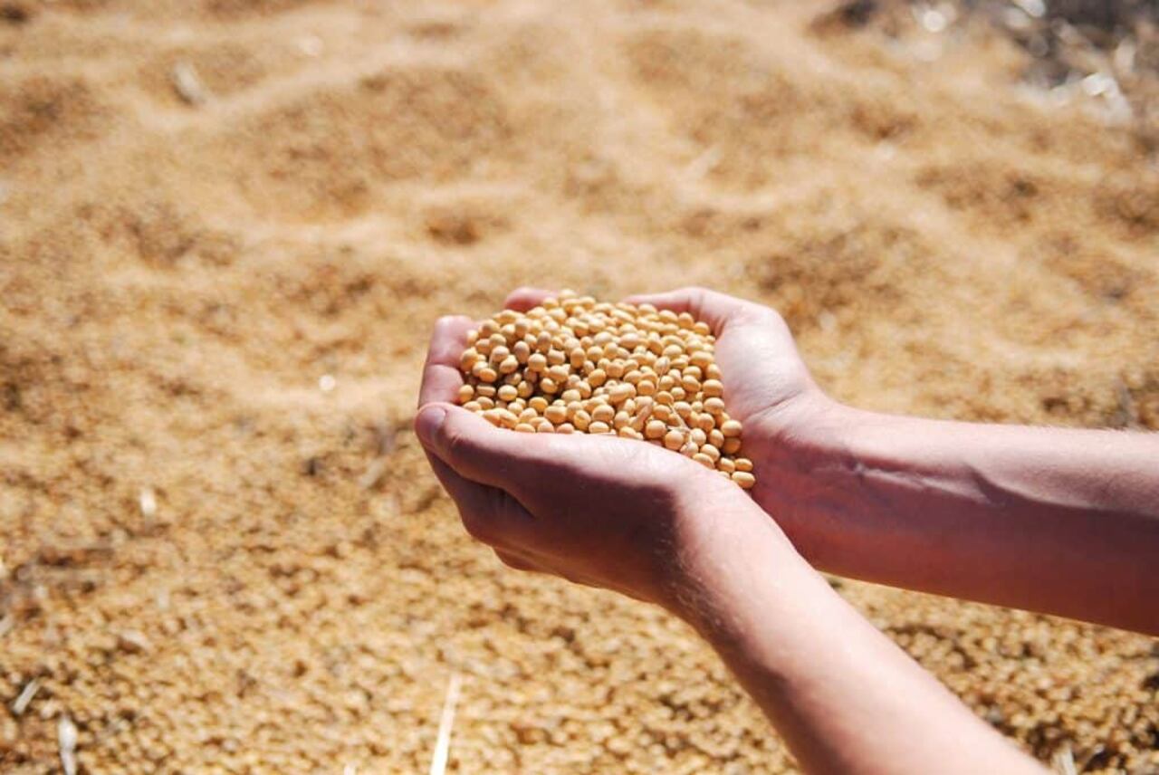 “Nuestro sectorexportadorestá relacionado al agro y eso siempre tiene unademandaimportante”, explica.