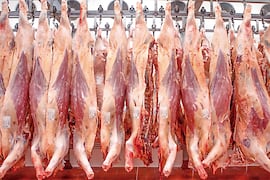 Nuestro país exportó sus primeras 12 toneladas de carne ovina a Arabia