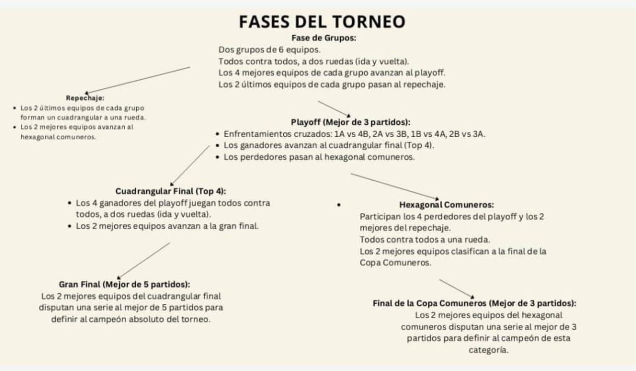 Organigrama de lo que serán las competencias de Primer División 2025.