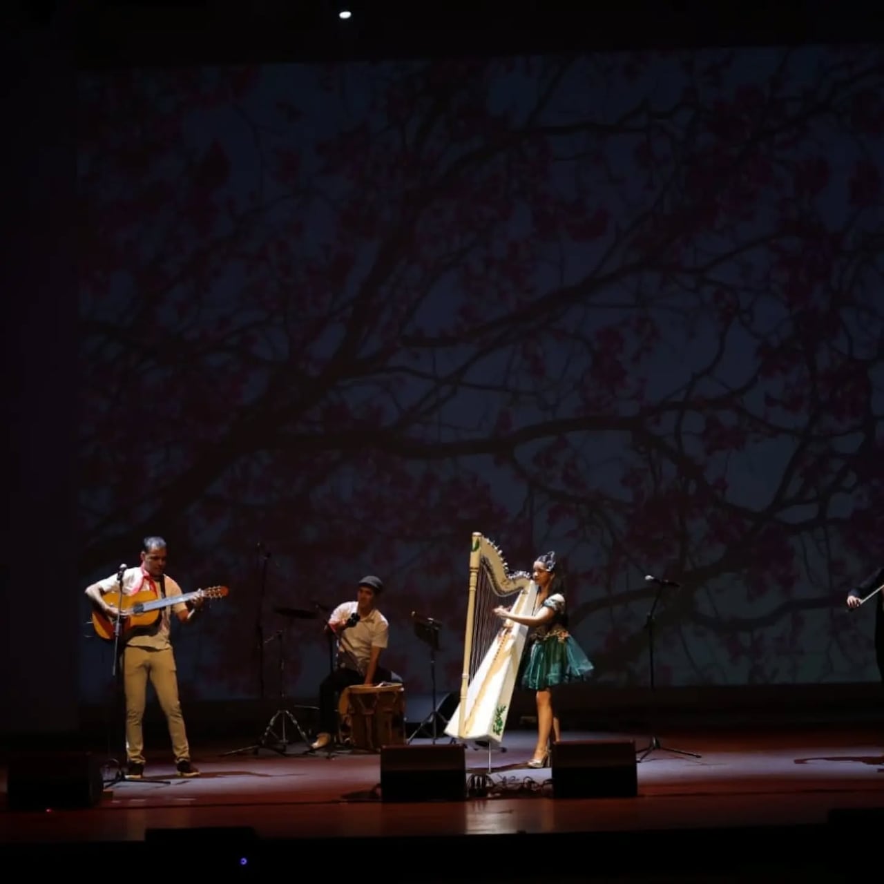 La joven Luana Encina participó en la segunda noche del Festival acompañada por Mariela Ríos en violín, Lucas Zaracho en guitarra y Edson Vázquez en percusión.