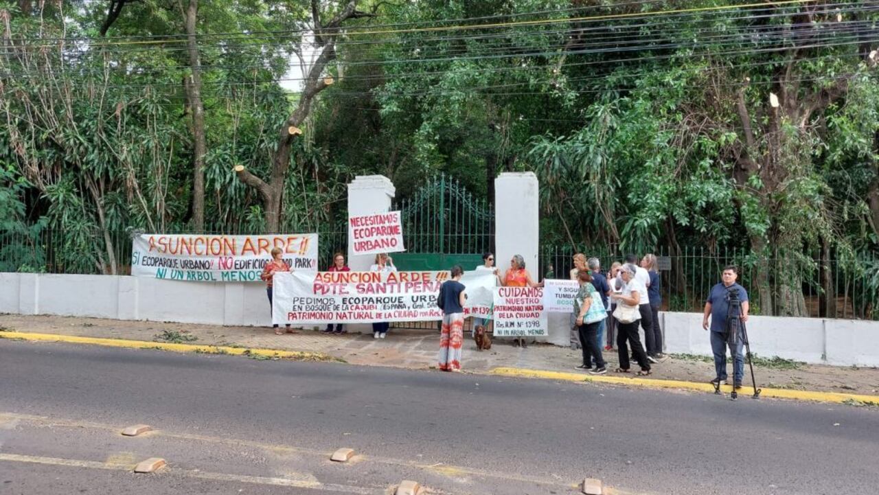 La panorámica muestra partes del sitio con árboles mutilados.