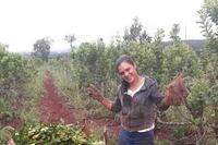 Video: Productores advierten sobre desaparición de yerbales