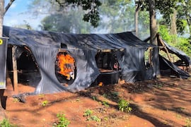 Senad destruye centros de acopio de marihuana en Bella Vista Norte