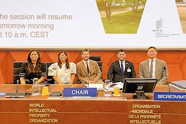 Paraguay conducirá foro de la ONU para combatir la piratería