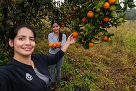 Taitá: innovación y crecimiento sostenible en Santa Rosa, Misiones