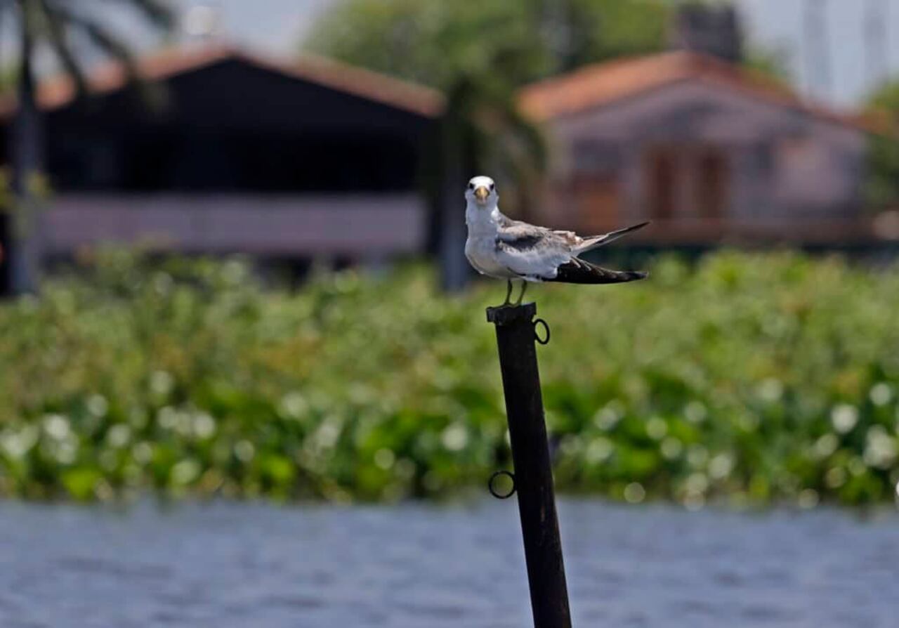 La reserva es un punto de parada esencial para las aves migratorias