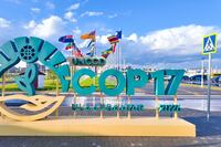 La COP17 cerró sin un acuerdo global contra la sequía
