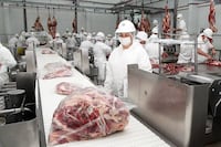 APPEC respalda pedido de equidad en cuotas cárnicas del Mercosur