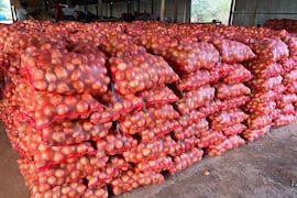 Asicofru alerta por escasez de papa y cebolla en Paraguay