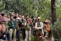 Lidia Pérez: científica paraguaya que enseña botánica en Instagram