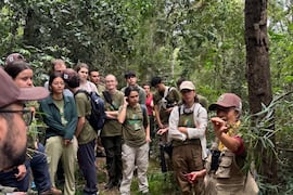 Lidia Pérez: científica paraguaya que enseña botánica en Instagram