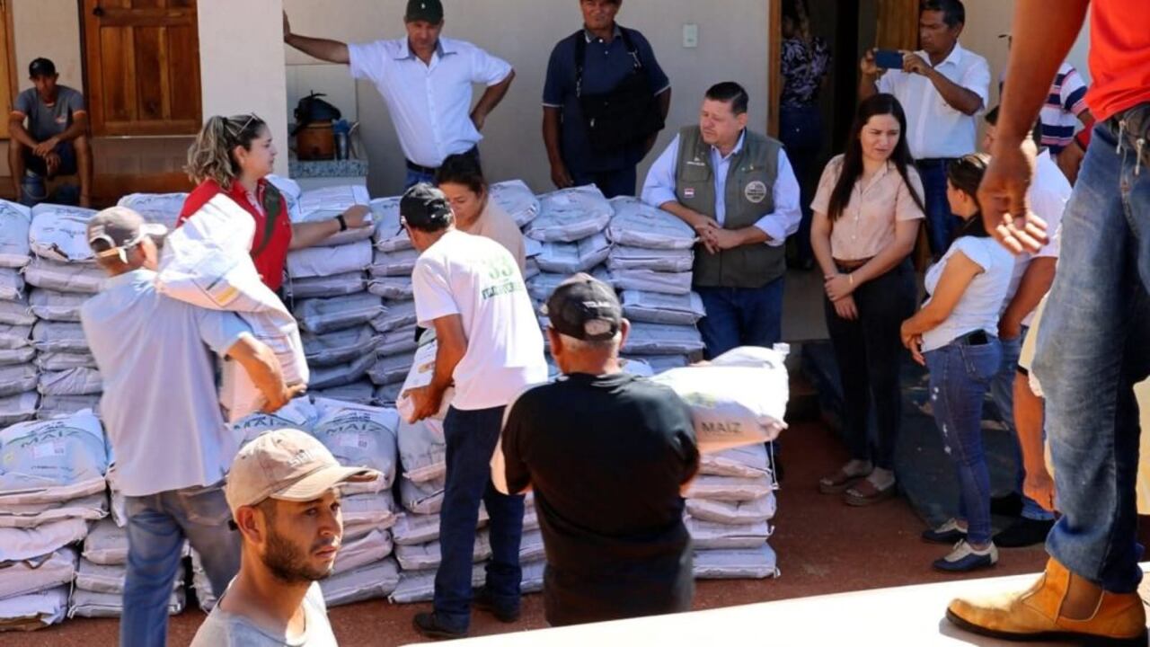 De acuerdo con datos recabados, cerca de 500 bolsas de semillas de maíz de alta genética fueron entregadas a familias rurales.