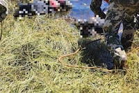Hallan los cuerpos de dos jóvenes desaparecidos en el Lago Itaipú