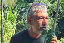 Urbano Palacio: El guardián de las plantas medicinales en Paraguay