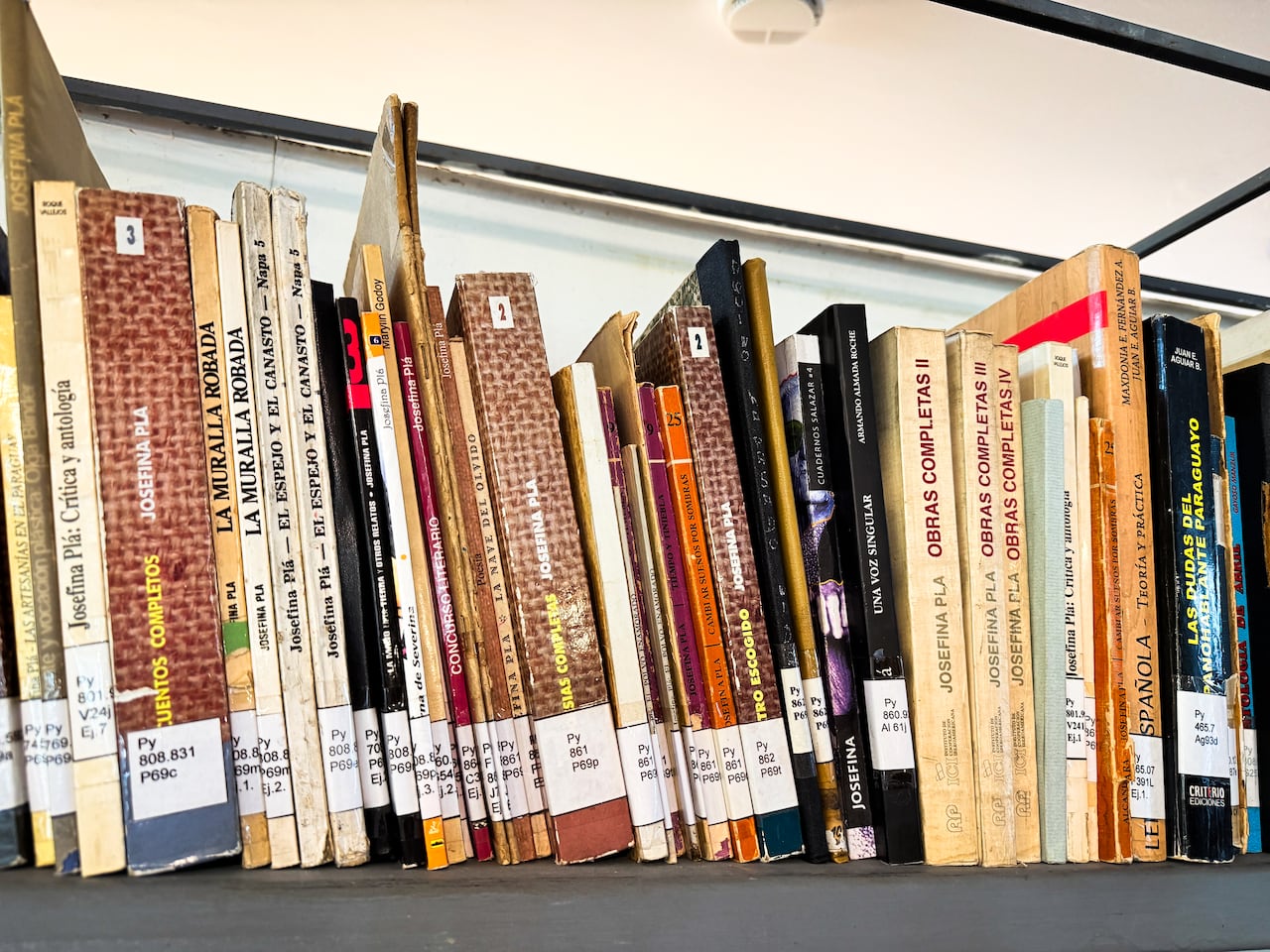 La inclusión de la obra de la escritora española-paraguaya fue gestionada por la Biblioteca Nacional del Paraguay en coordinación con los descendientes de la autora.
