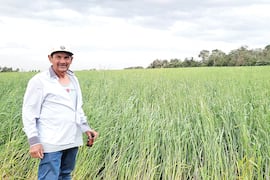 Inversión verde impulsa la cosecha en Caazapá
