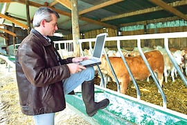 Innovet 2026 busca transformar la veterinaria en negocio