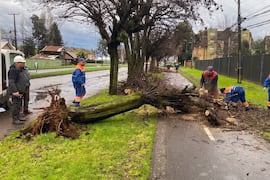 Temporal en Chile deja más de 500.000 usuarios sin electricidad y causa daños en varias regiones