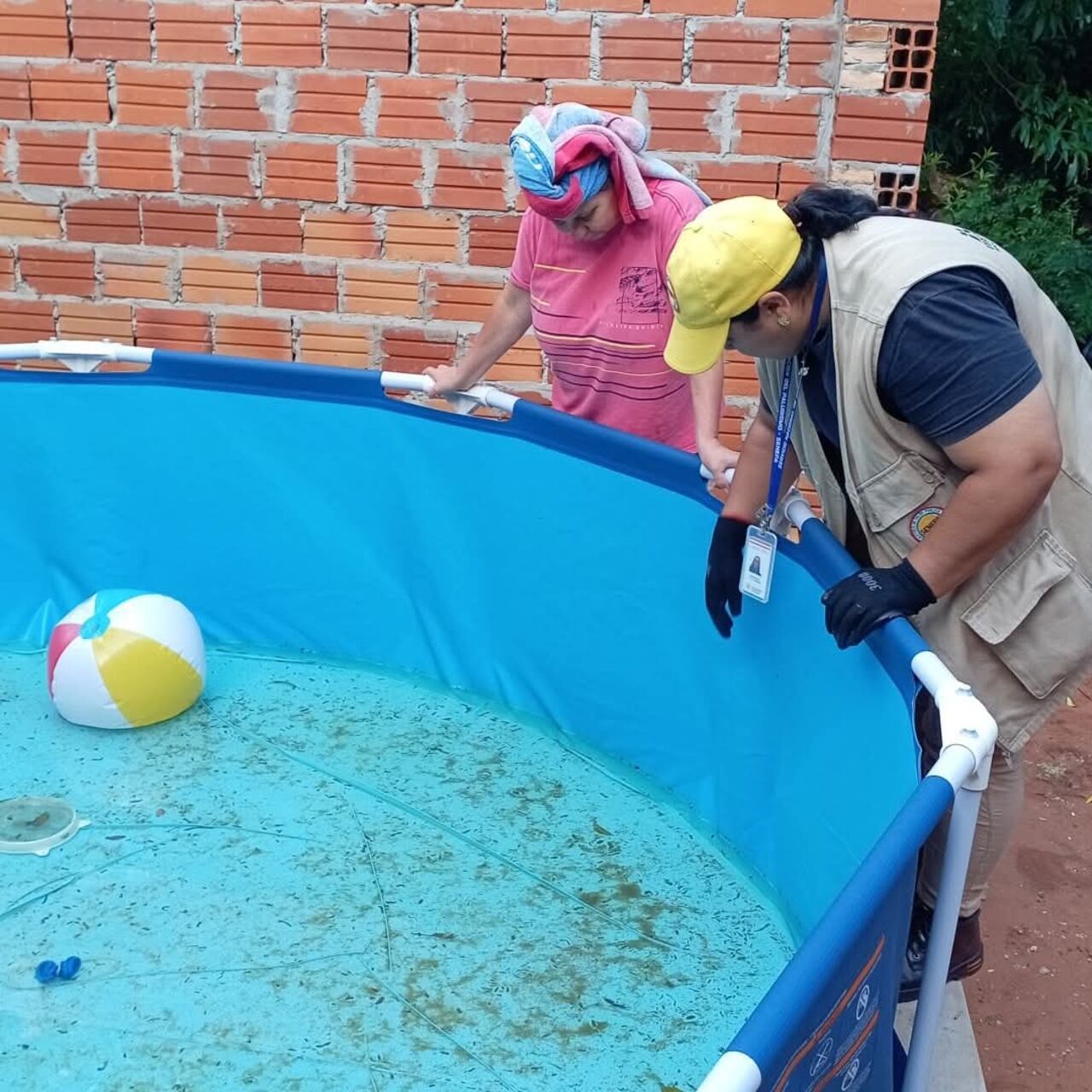 Eliminación de criaderos es clave para reducir el riesgo de dengue, zika y chikungunya.