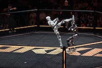 China inaugura primer torneo mundial de lucha de androides