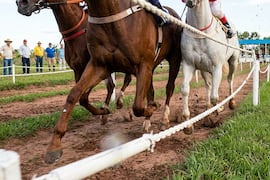 Imputan a organizadores de carrera clandestina tras la muerte de un niño jockey