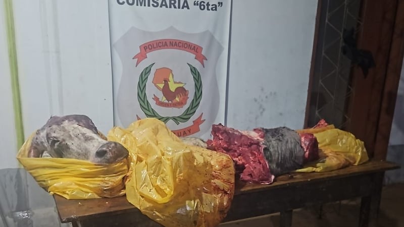 La evidencia incautada por la policía, cuando estaba siendo transportada con destino a Encarnación.