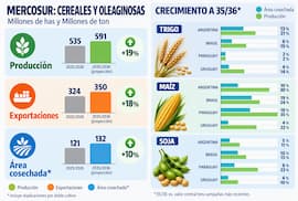 Mercosur prevé suba del 18% en producción de cereales y oleaginosas