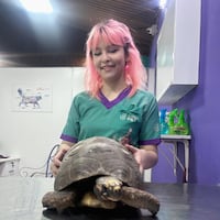 Veterinaria da cháke sobre el frío y las tortugas hína