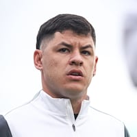 “Cachorro” asoma sus narices y puede volver