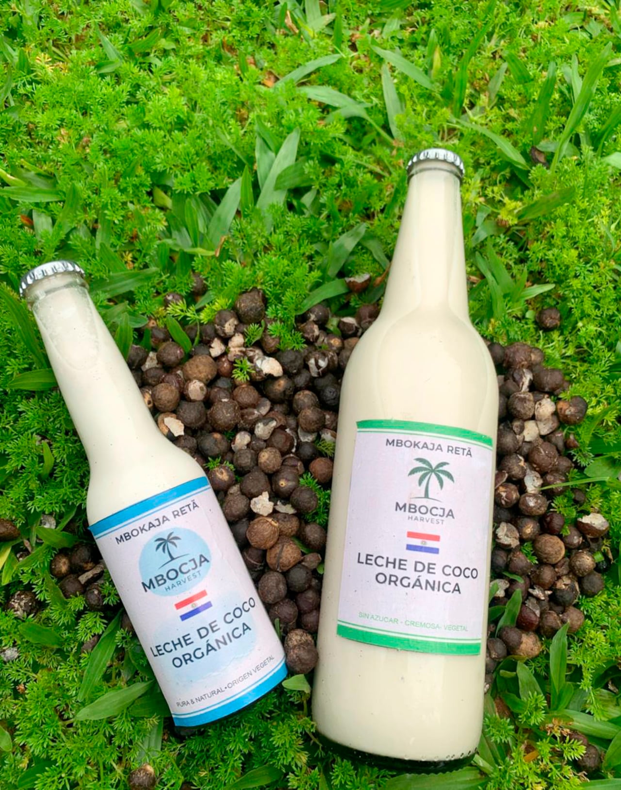 La leche de coco 100% natural de Mbokaja Reta, envasada en botellas de vidrio reciclado y libre de conservantes químicos Presentaciones de 250 y 750 ml.