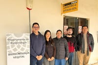 Científicos paraguayos descifran el genoma del hongo que pudre el mango y logran publicación internacional