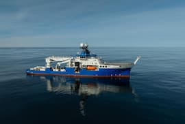 Expedición submarina en Argentina descubre 57 nuevas especies en el Atlántico