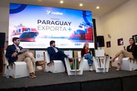 Rediex presentó “Paraguay Exporta+” para diversificar a la manufactura