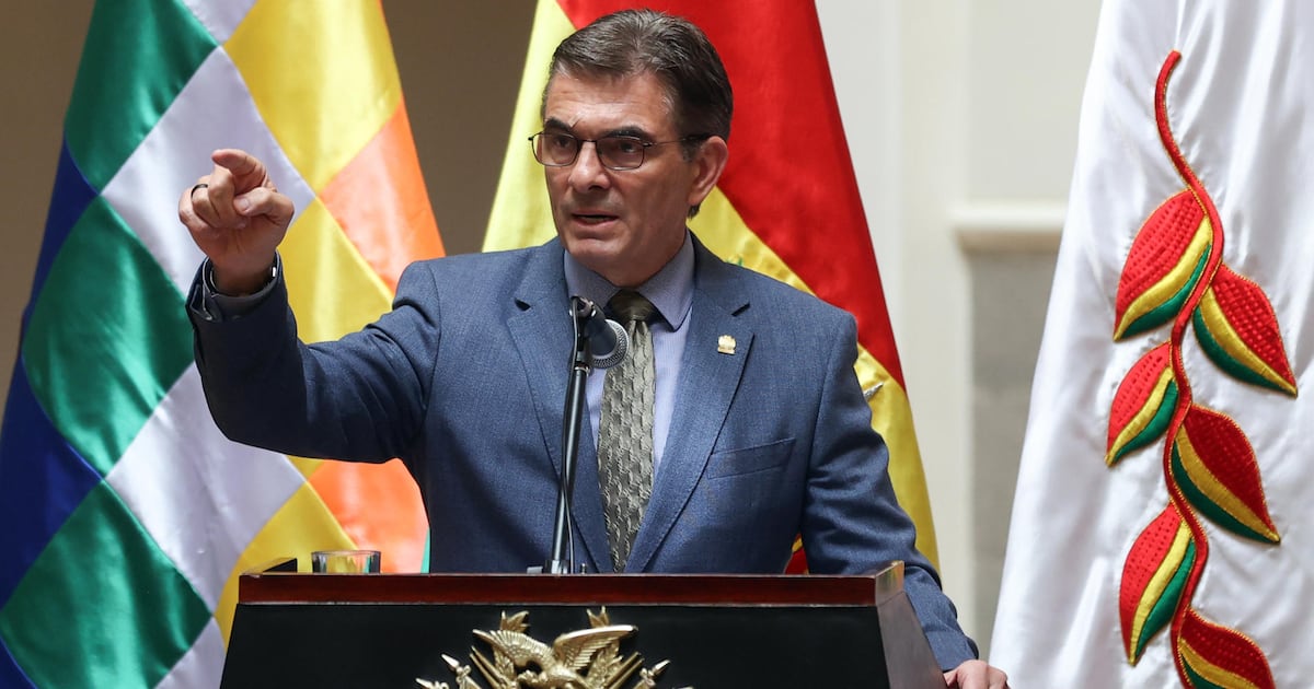 Presidente de Bolivia convocará a líderes sudamericanos para abordar el crimen organizado