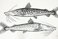 La vinculación poética con el río y activismo en una exposición