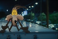 “Coyote vs. Acme”: La realidad se equipara a la ficción