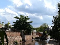Un arroyo sano exige algo más que una jornada para retirar basura