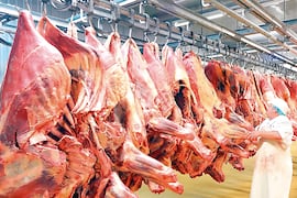 Fuerte competencia e innovación marcan el actual mercado de carnes