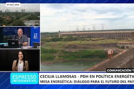Mesa Energética impulsa nuevas opciones para generar energía, afirma especialista
