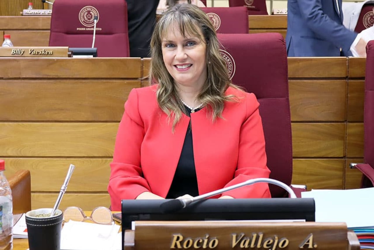 Diputada Rocío Vallejo.