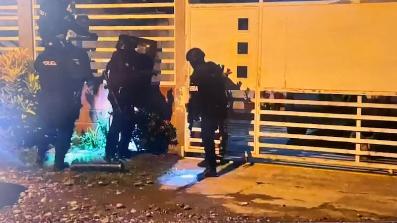 Captura de video tomada de la cuenta oficial en X @JohnReimberg del ministro del Interior de Ecuador, John Reimberg, que muestra a policías realizando un operativo en una provincia amazónica. "Este operativo no es un hecho aislado. Es el resultado de un trabajo investigativo que busca desmantelar a toda la organización, sus colaboradores, sus corredores logísticos y su capacidad para movilizar hombres y armas entre Colombia y Ecuador", escribió Reimberg en X.