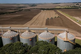 Soja paraguaya se prepara para una nueva campaña con más tecnología