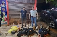Capturan a cuatro presuntos asalta viviendas en Ciudad del Este